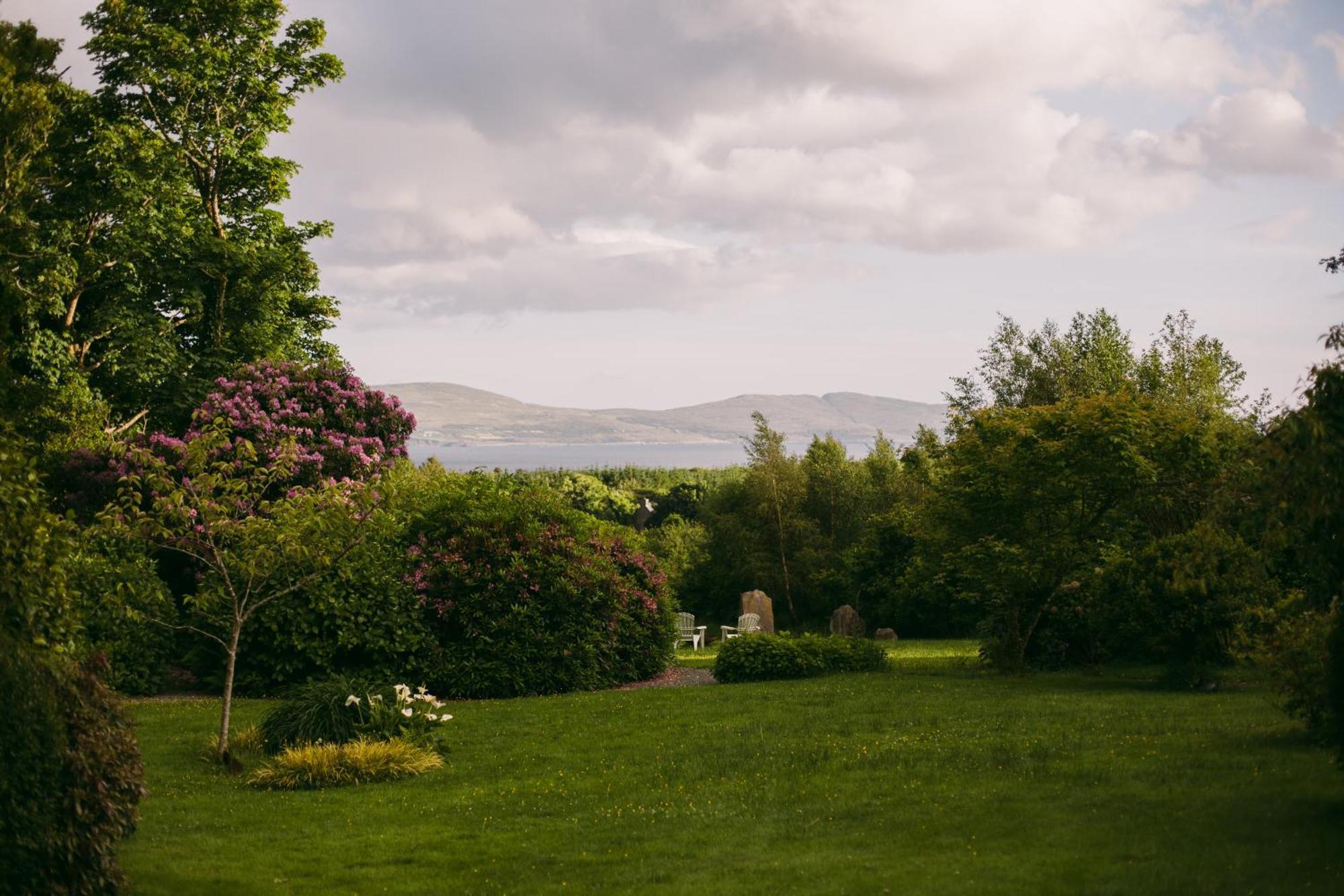 Adrigole Mossie'S Bed & Breakfast エクステリア 写真